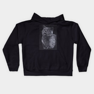 British Shorthair Cat Kids Hoodie